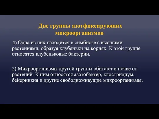 Две группы азотфиксирующих микроорганизмов 1) Одна из них находится в симбиозе