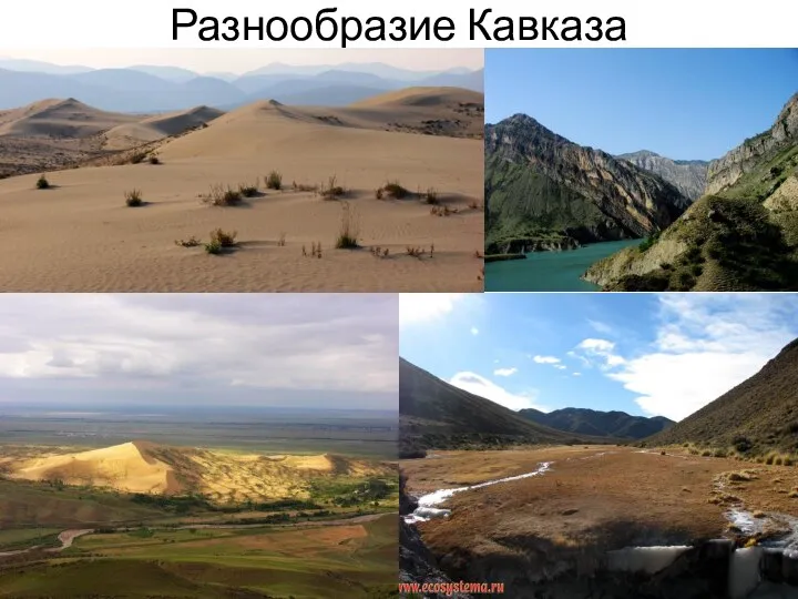Разнообразие Кавказа