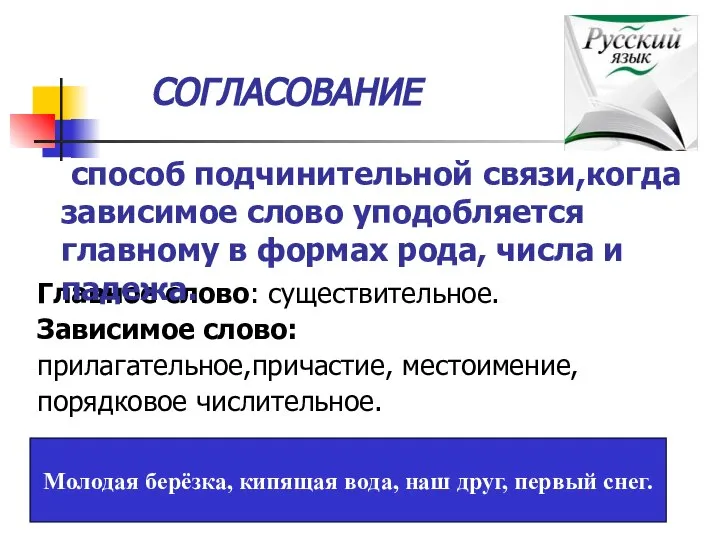 СОГЛАСОВАНИЕ Главное слово: существительное. Зависимое слово: прилагательное,причастие, местоимение, порядковое числительное. Молодая