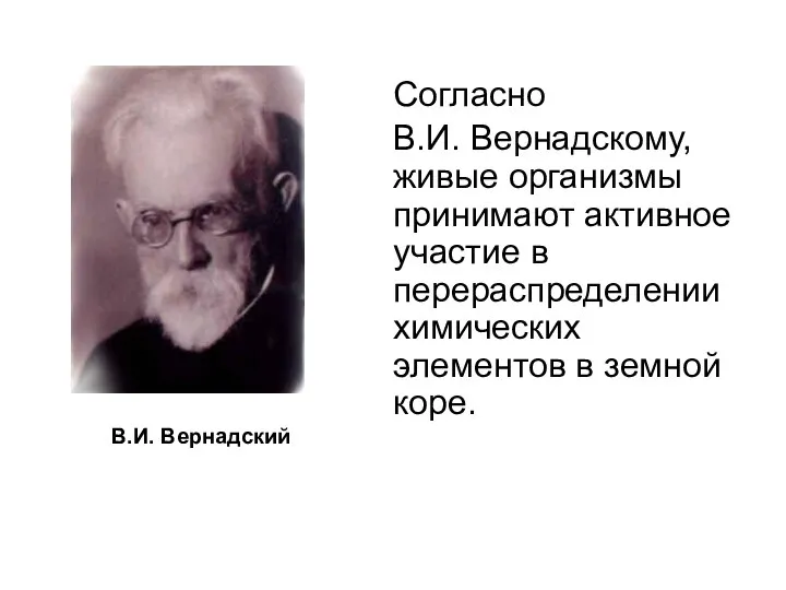 Согласно В.И. Вернадскому, живые организмы принимают активное участие в перераспределении химических