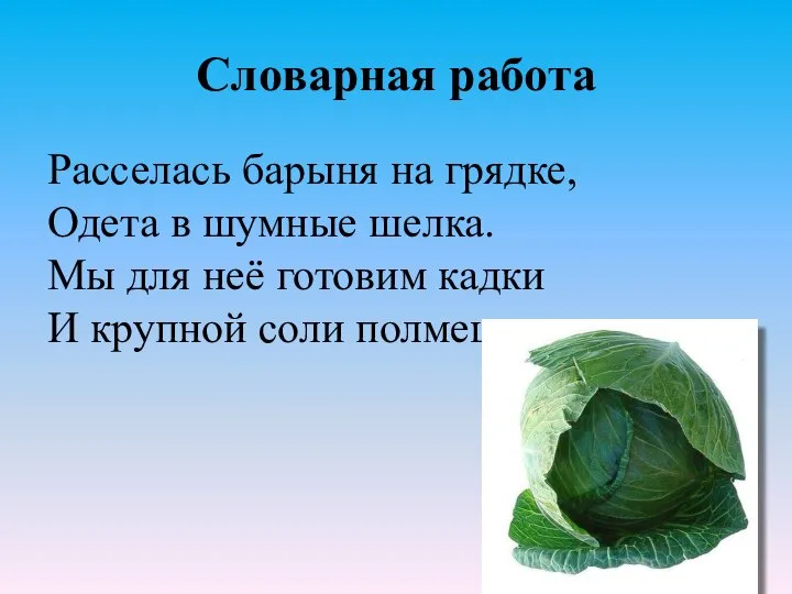 Словарная работа Расселась барыня на грядке, Одета в шумные шелка. Мы