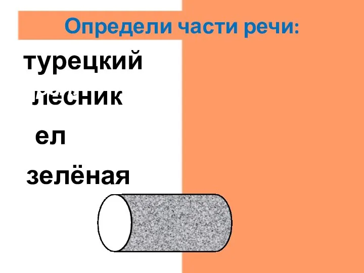 зелёная прил. ел гл. лесник сущ. турецкий прил. Определи части речи: