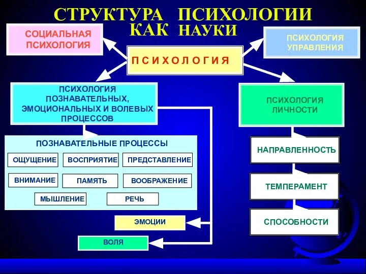 СТРУКТУРА ПСИХОЛОГИИ КАК НАУКИ П С И Х О Л О