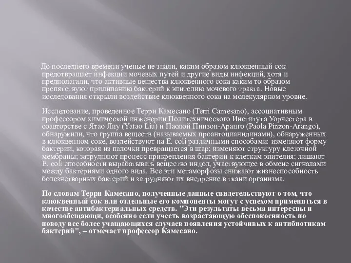 До последнего времени ученые не знали, каким образом клюквенный сок предотвращает