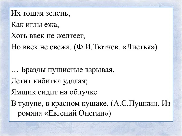 Их тощая зелень, Как иглы ежа, Хоть ввек не желтеет, Но