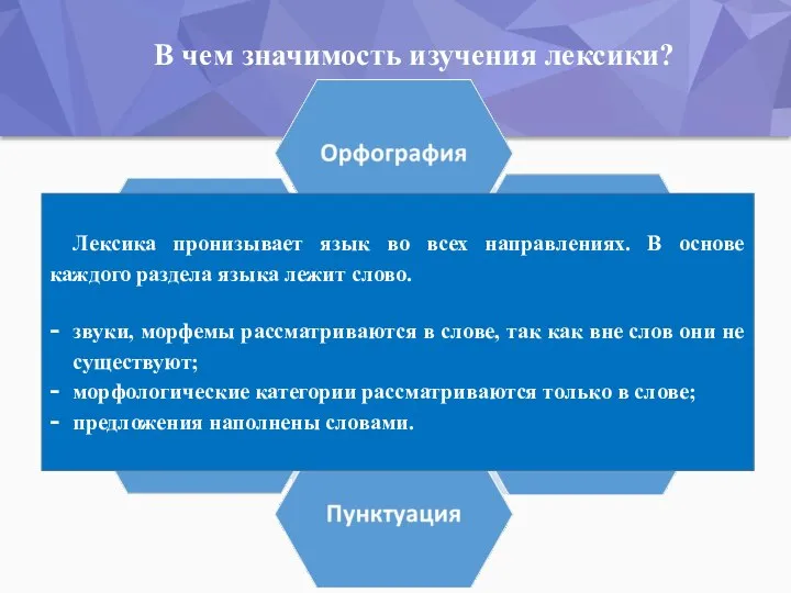 В чем значимость изучения лексики? Лексика пронизывает язык во всех направлениях.