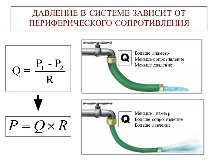 ДАВЛЕНИЕ В СИСТЕМЕ ЗАВИСИТ ОТ ПЕРИФЕРИЧЕСКОГО СОПРОТИВЛЕНИЯ Больше диаметр Меньше сопротивление