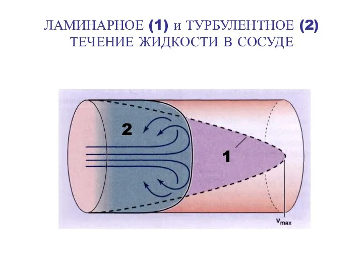 ЛАМИНАРНОЕ (1) и ТУРБУЛЕНТНОЕ (2) ТЕЧЕНИЕ ЖИДКОСТИ В СОСУДЕ 1 2