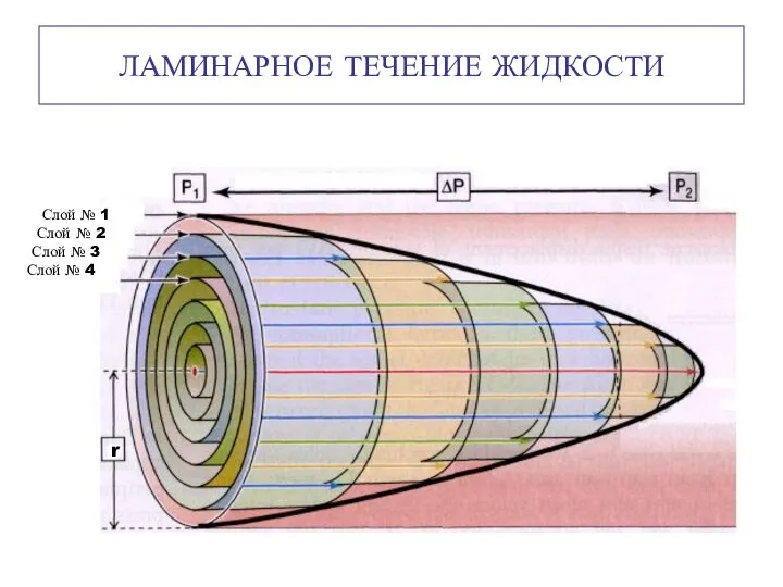 ЛАМИНАРНОЕ ТЕЧЕНИЕ ЖИДКОСТИ Слой № 1 Слой № 2 Слой № 3 Слой № 4 r