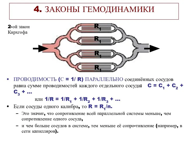 4. ЗАКОНЫ ГЕМОДИНАМИКИ ПРОВОДИМОСТЬ (С = 1/ R) ПАРАЛЛЕЛЬНО соединённых сосудов