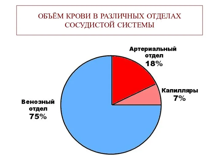 ОБЪЁМ КРОВИ В РАЗЛИЧНЫХ ОТДЕЛАХ СОСУДИСТОЙ СИСТЕМЫ