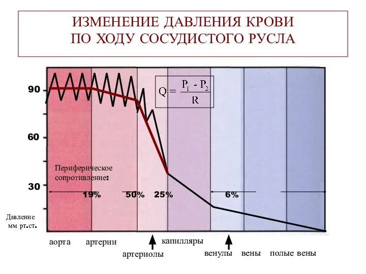 ИЗМЕНЕНИЕ ДАВЛЕНИЯ КРОВИ ПО ХОДУ СОСУДИСТОГО РУСЛА аорта артерии 30 60