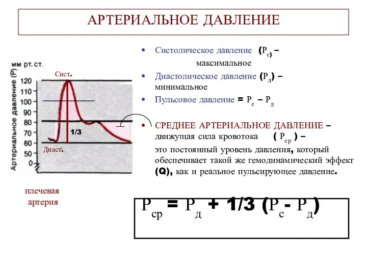 АРТЕРИАЛЬНОЕ ДАВЛЕНИЕ Систолическое давление (Рс) – максимальное Диастолическое давление (Рд) –