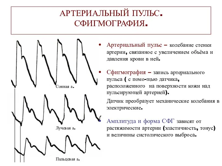 АРТЕРИАЛЬНЫЙ ПУЛЬС. СФИГМОГРАФИЯ. Артериальный пульс – колебание стенки артерии, связанное с