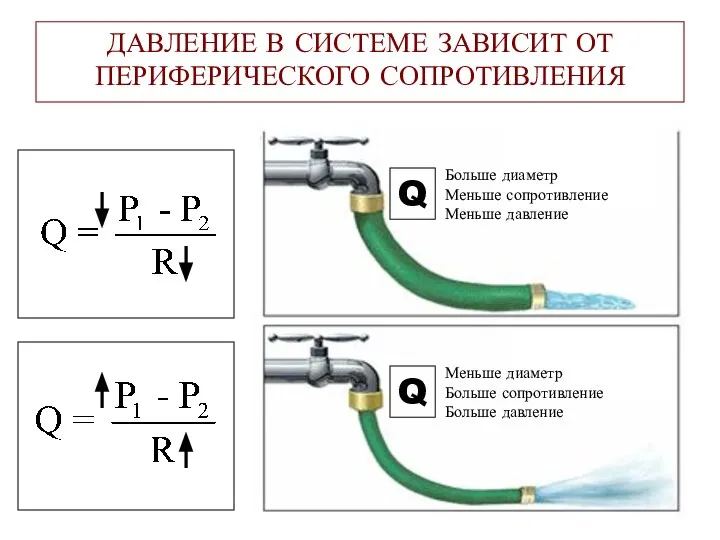 ДАВЛЕНИЕ В СИСТЕМЕ ЗАВИСИТ ОТ ПЕРИФЕРИЧЕСКОГО СОПРОТИВЛЕНИЯ Q Q Больше диаметр