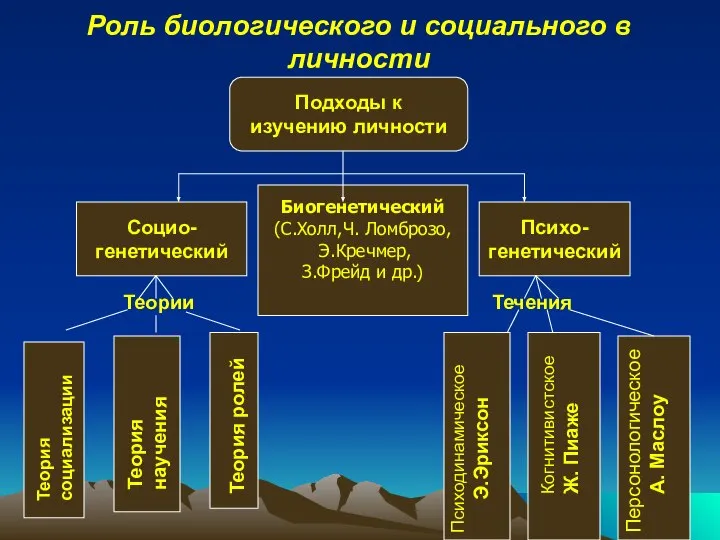 Роль биологического и социального в личности Подходы к изучению личности Социо-