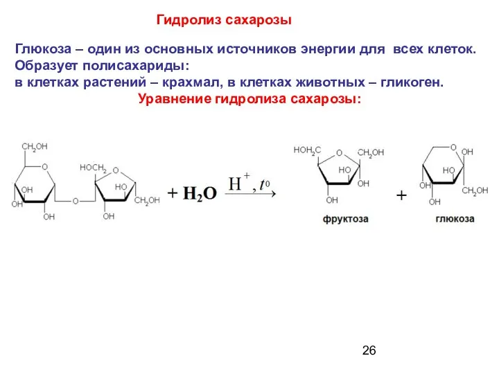 Гидролиз сахарозы Глюкоза – один из основных источников энергии для всех