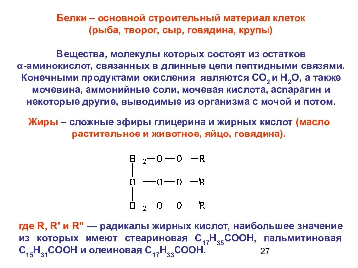 Белки – основной строительный материал клеток (рыба, творог, сыр, говядина, крупы)