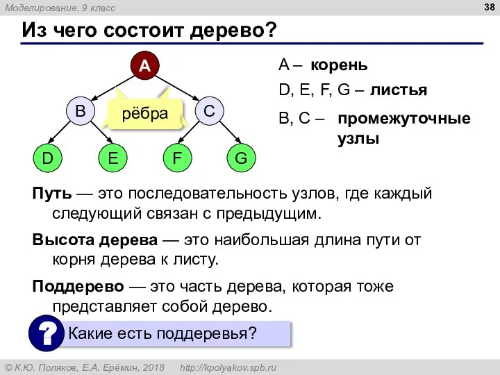 Из чего состоит дерево? A – D, E, F, G –