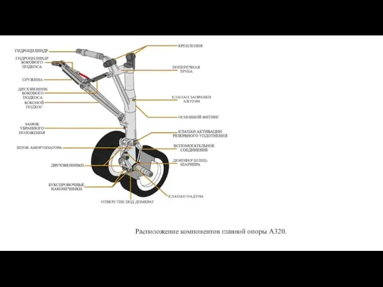 Расположение компонентов главной опоры А320.