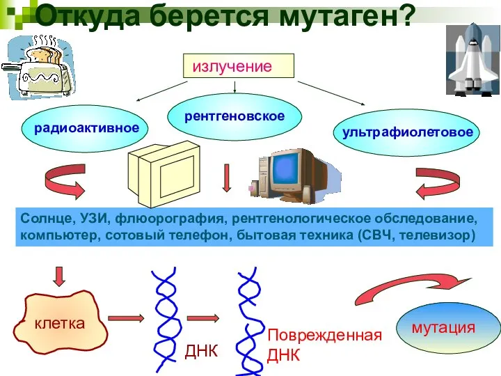 Откуда берется мутаген? излучение радиоактивное рентгеновское ультрафиолетовое Солнце, УЗИ, флюорография, рентгенологическое