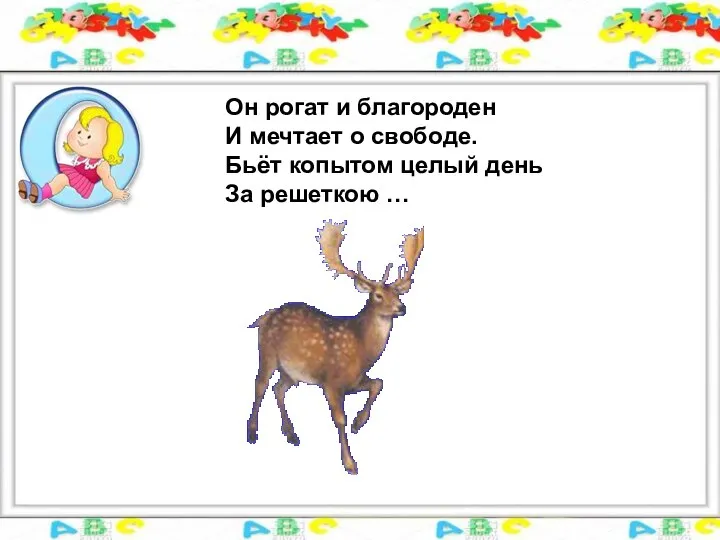 Он рогат и благороден И мечтает о свободе. Бьёт копытом целый