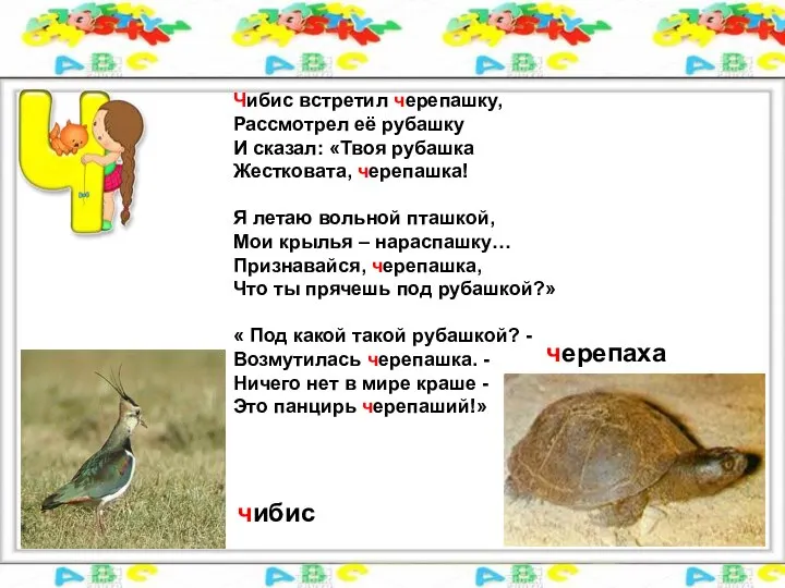 Чибис встретил черепашку, Рассмотрел её рубашку И сказал: «Твоя рубашка Жестковата,