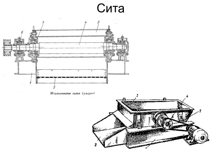 Сита