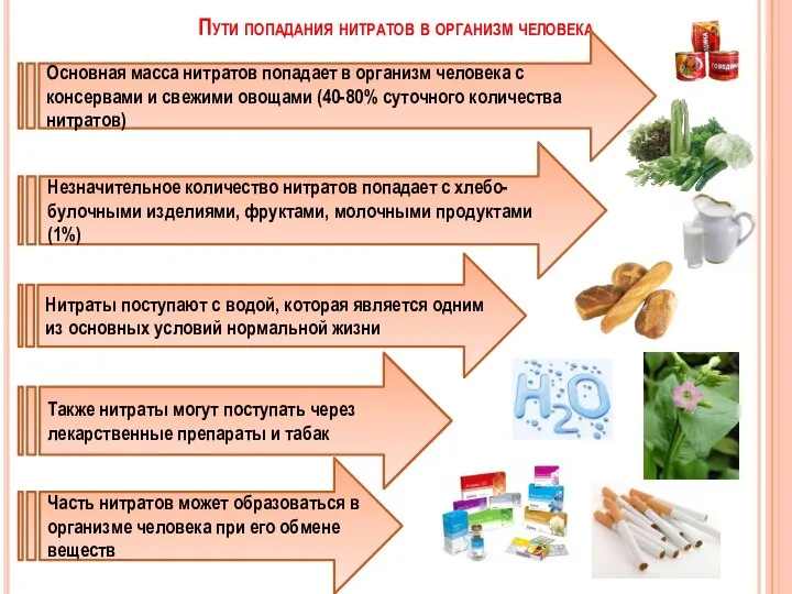 Пути попадания нитратов в организм человека Основная масса нитратов попадает в