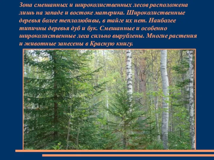 Зона смешанных и широколиственных лесов расположена лишь на западе и востоке