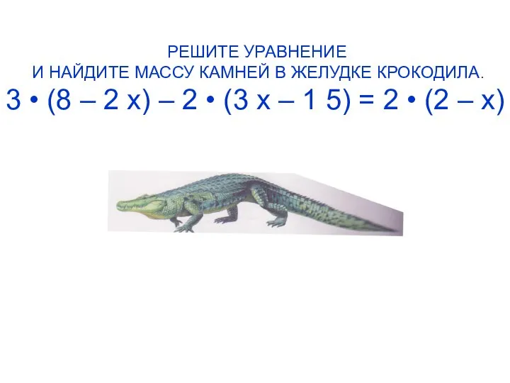 РЕШИТЕ УРАВНЕНИЕ И НАЙДИТЕ МАССУ КАМНЕЙ В ЖЕЛУДКЕ КРОКОДИЛА. 3 •