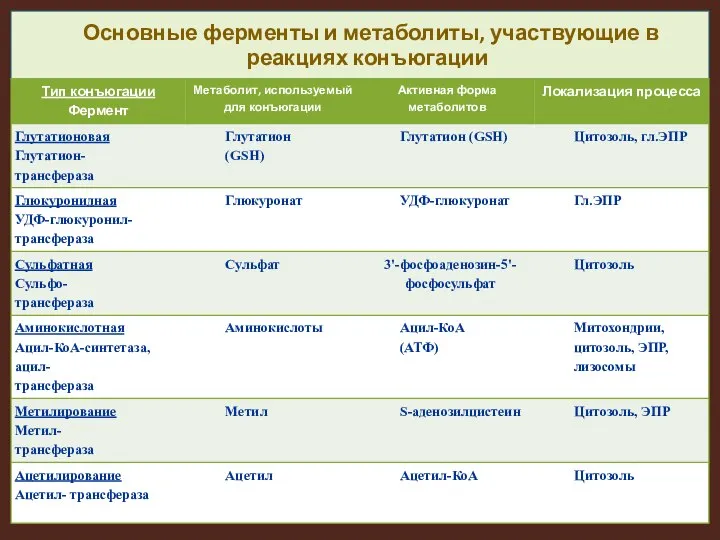 Основные ферменты и метаболиты, участвующие в реакциях конъюгации