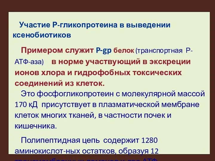 Участие Р-гликопротеина в выведении ксенобиотиков Примером служит P-gp белок (транспортная Р-АТФ-аза)