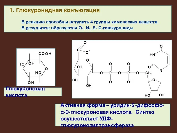 Активная форма – уридин-5‘-дифосфо-α-D-глюкуроновая кислота. Синтез осуществляет УДФ-глюкуронозилтрансфераза Глюкуроновая кислота 1.