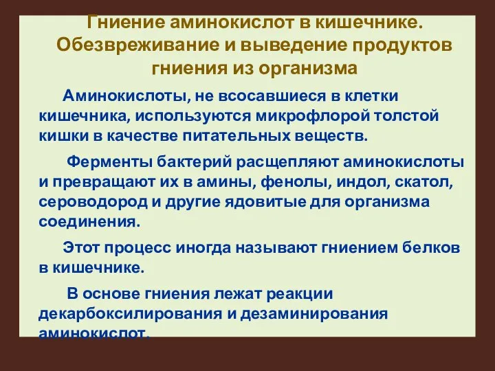 Гниение аминокислот в кишечнике. Обезвреживание и выведение продуктов гниения из организма