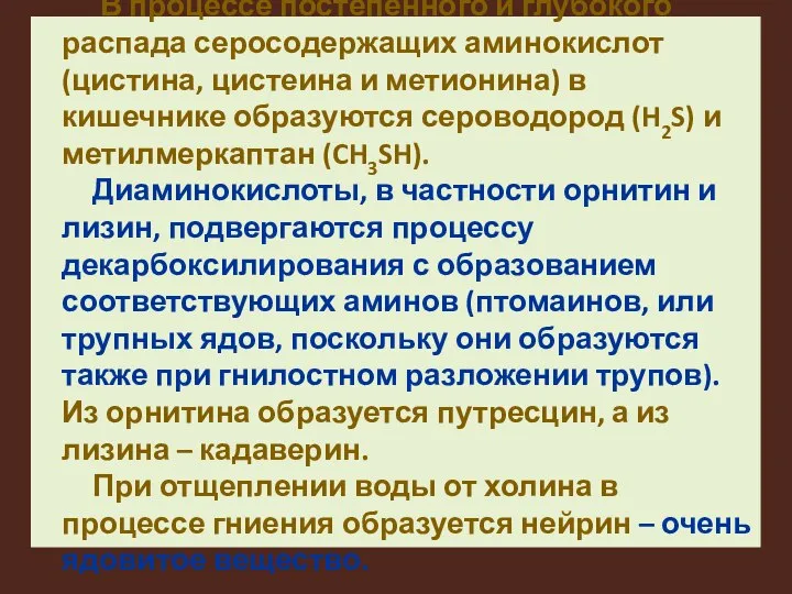 В процессе постепенного и глубокого распада серосодержащих аминокислот (цистина, цистеина и