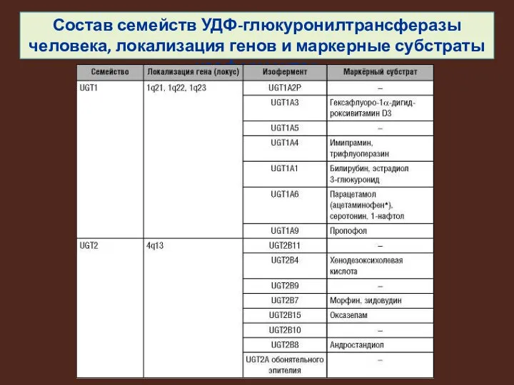 Состав семейств УДФ-глюкуронилтрансферазы человека, локализация генов и маркерные субстраты изоферментов