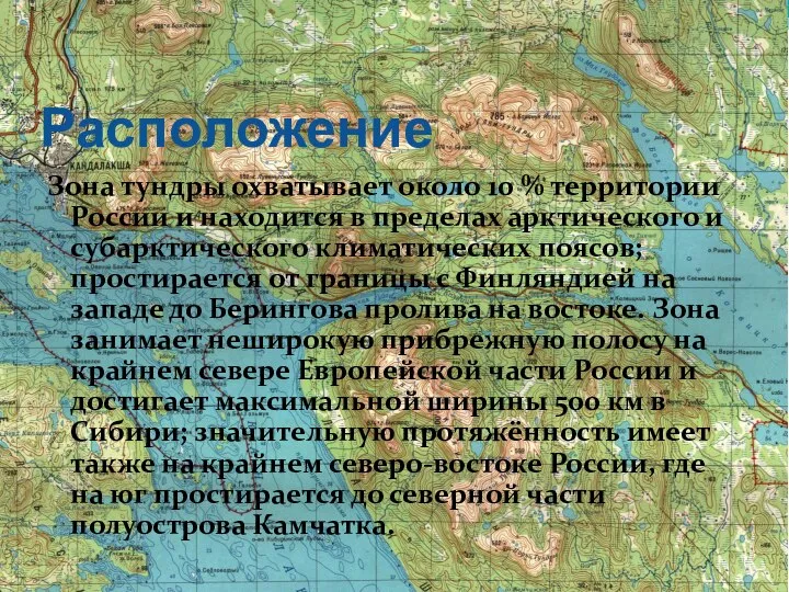 Расположение Зона тундры охватывает около 10 % территории России и находится