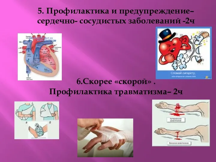 5. Профилактика и предупреждение– сердечно- сосудистых заболеваний -2ч 6.Скорее «скорой» . Профилактика травматизма– 2ч