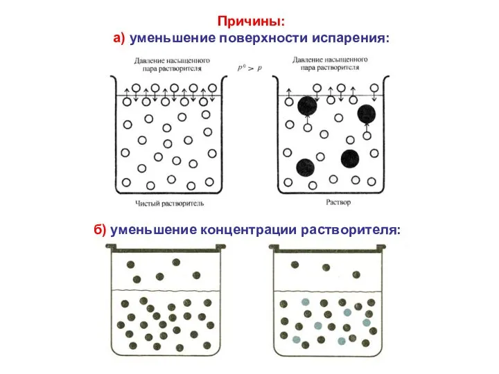 Причины: а) уменьшение поверхности испарения: б) уменьшение концентрации растворителя: