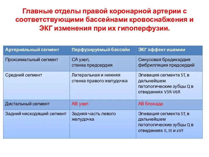 Главные отделы правой коронарной артерии с соответствующими бассейнами кровоснабжения и ЭКГ изменения при их гипоперфузии.