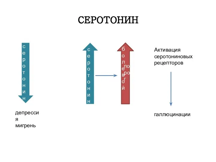 СЕРОТОНИН серотонин депрессия мигрень Активация серотониновых рецепторов галлюцинации болевой серотонин порог