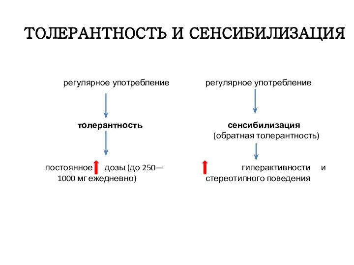 ТОЛЕРАНТНОСТЬ И СЕНСИБИЛИЗАЦИЯ регулярное употребление сенсибилизация (обратная толерантность) гиперактивности и стереотипного