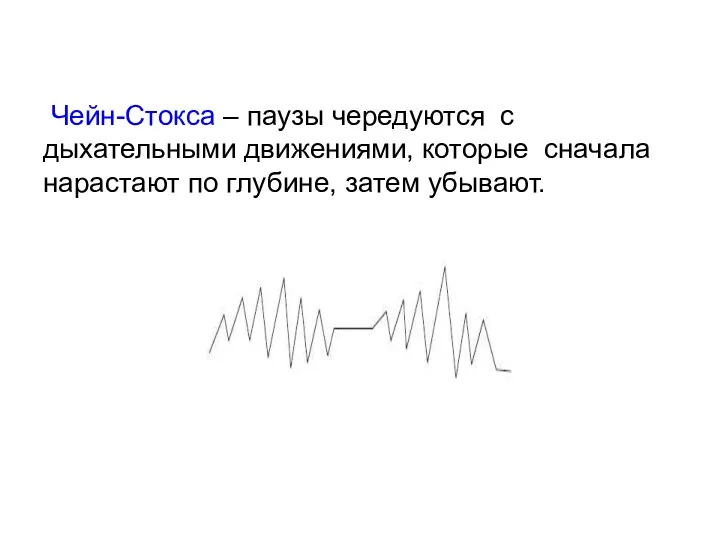 Чейн-Стокса – паузы чередуются с дыхательными движениями, которые сначала нарастают по глубине, затем убывают.