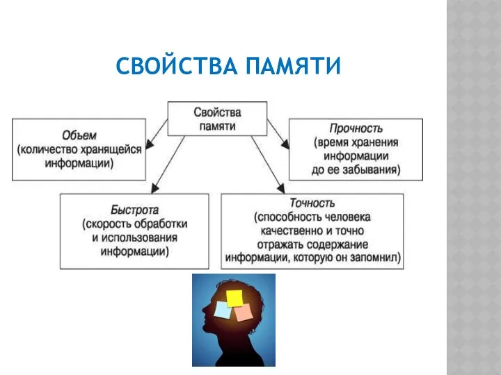 СВОЙСТВА ПАМЯТИ