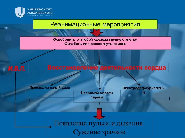 Заголовок Подзаголовок презентации