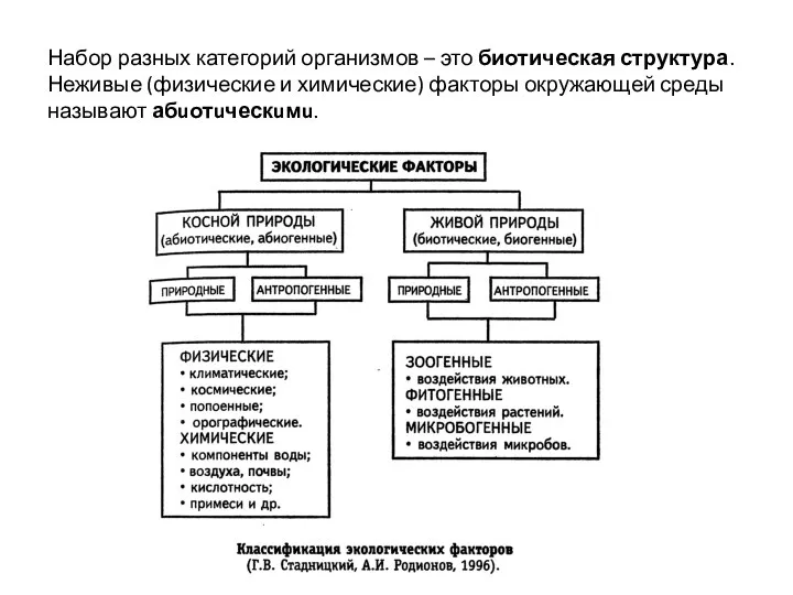 Набор разных категорий организмов – это биотическая структура. Неживые (физические и