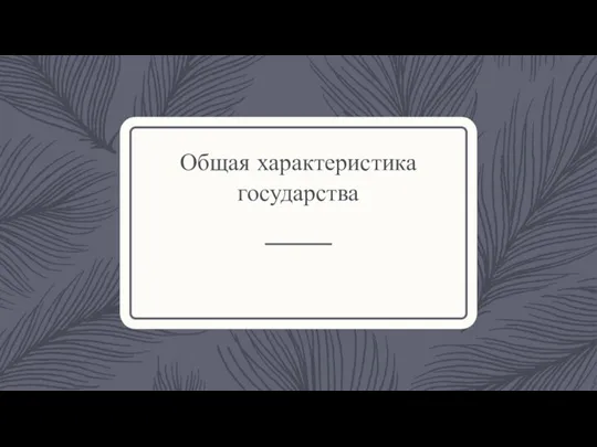 Общая характеристика государства