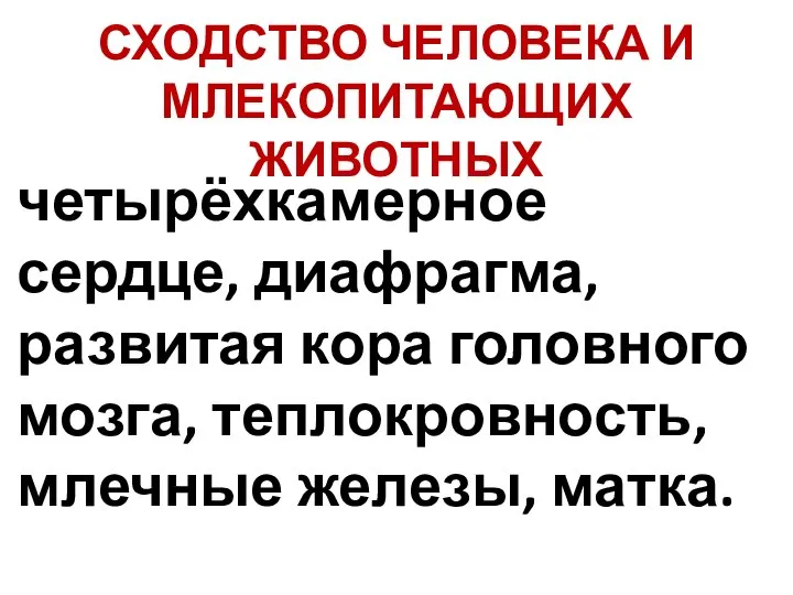 СХОДСТВО ЧЕЛОВЕКА И МЛЕКОПИТАЮЩИХ ЖИВОТНЫХ четырёхкамерное сердце, диафрагма, развитая кора головного мозга, теплокровность, млечные железы, матка.