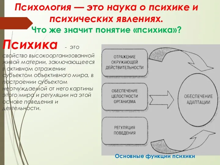 Психика - это свойство высокоорганизованной живой материи, заключающееся в активном отражении